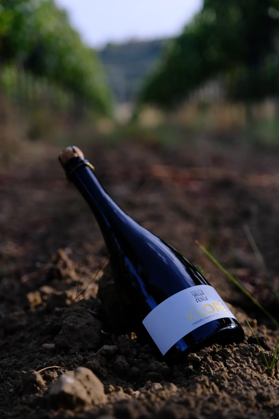 Bottiglia di vino con vigneto sullo sfondo