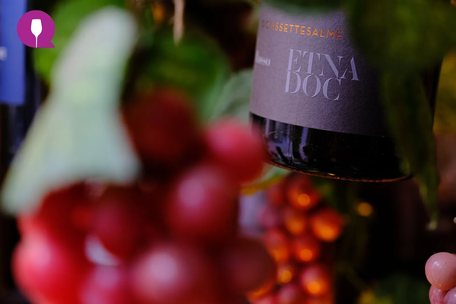 Uva e vino — Etna DOC