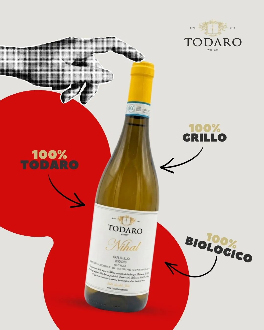 Product design — etichetta Todaro Grillo